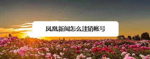 凤凰新闻苹果凤凰卫视中文台凤凰卫视资讯台直播高清-第2张图片-亚星国际官网