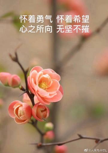 手机妙音新闻网十大新闻app排行榜-第2张图片-亚星国际官网
