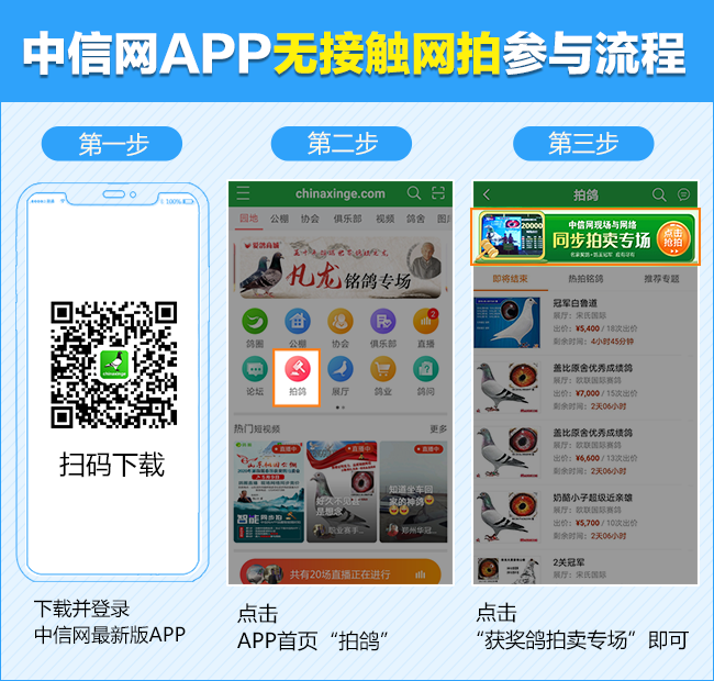 中鸽网手机版中鸽网各地公棚中鸽