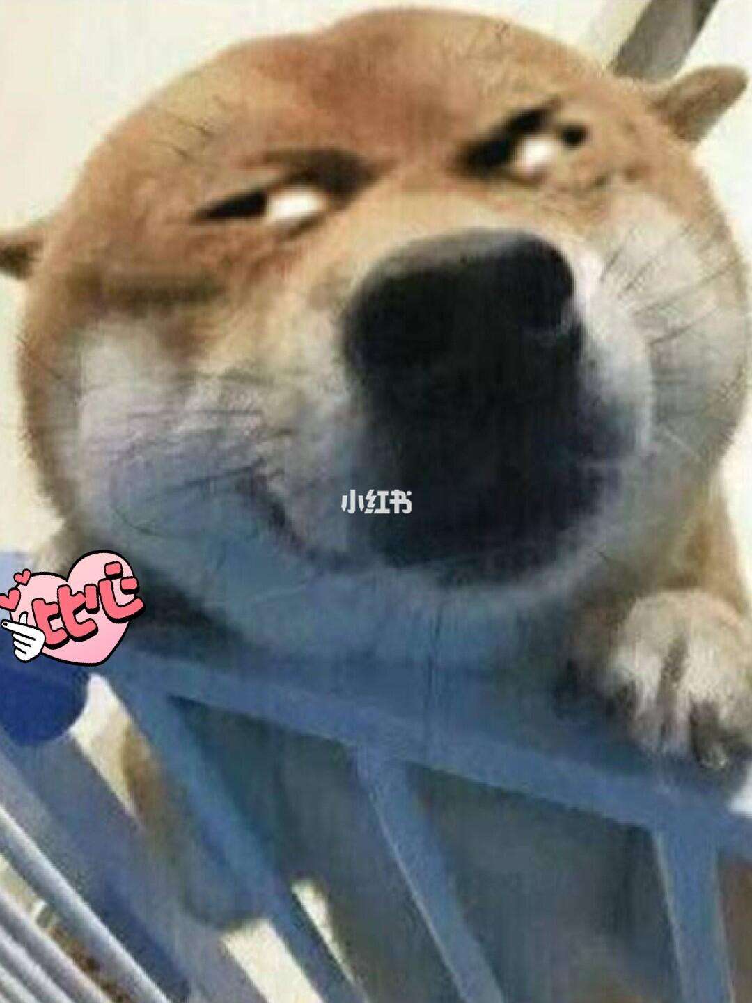 沙雕手机版沙雕模拟器怎么下载