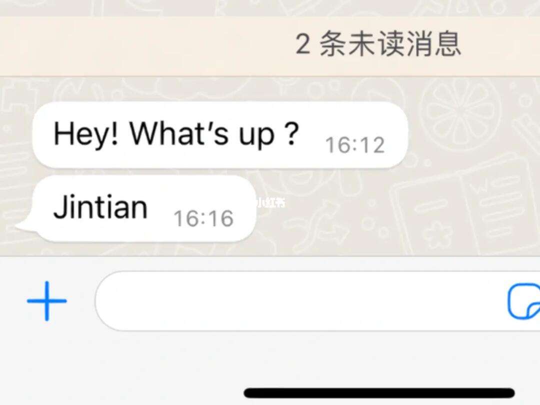 whatup安卓版下载whatsapp安卓下载安装2024