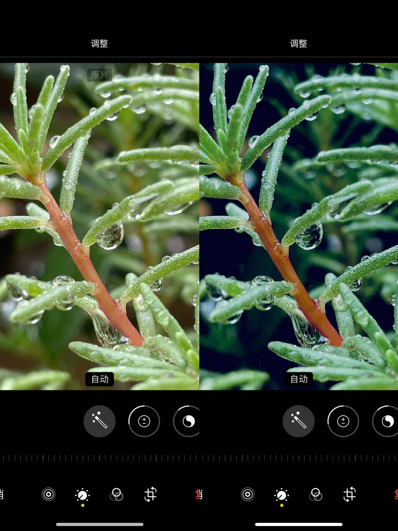 苹果手机版调色在哪里苹果手机调色参数怎么调-第2张图片-亚星国际官网