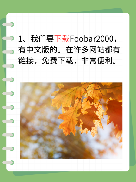 foobar中文版苹果手机版footballmanager手机版