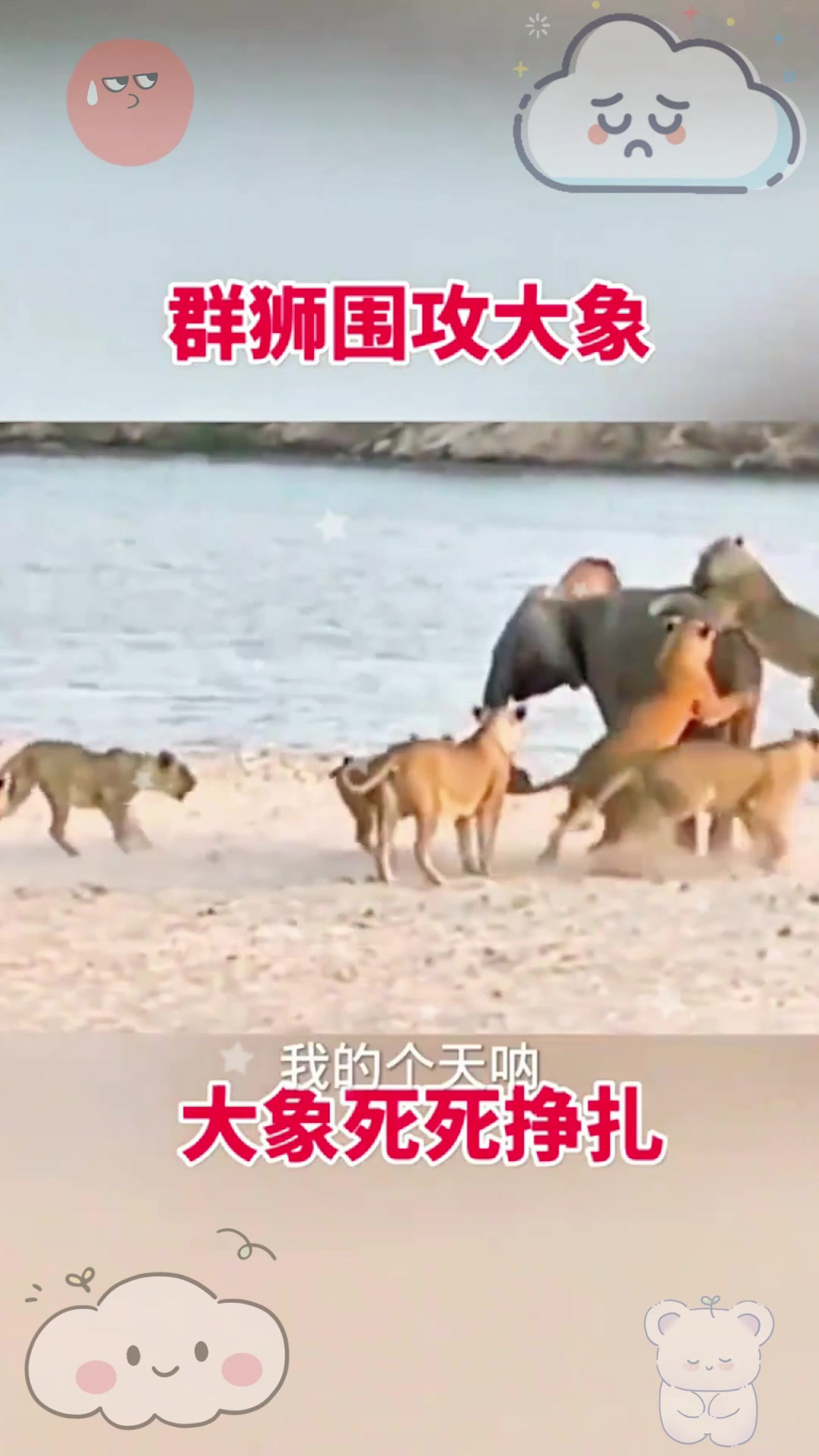 手机版的围攻怎么玩的围攻besiege手机版下载-第2张图片-亚星国际官网