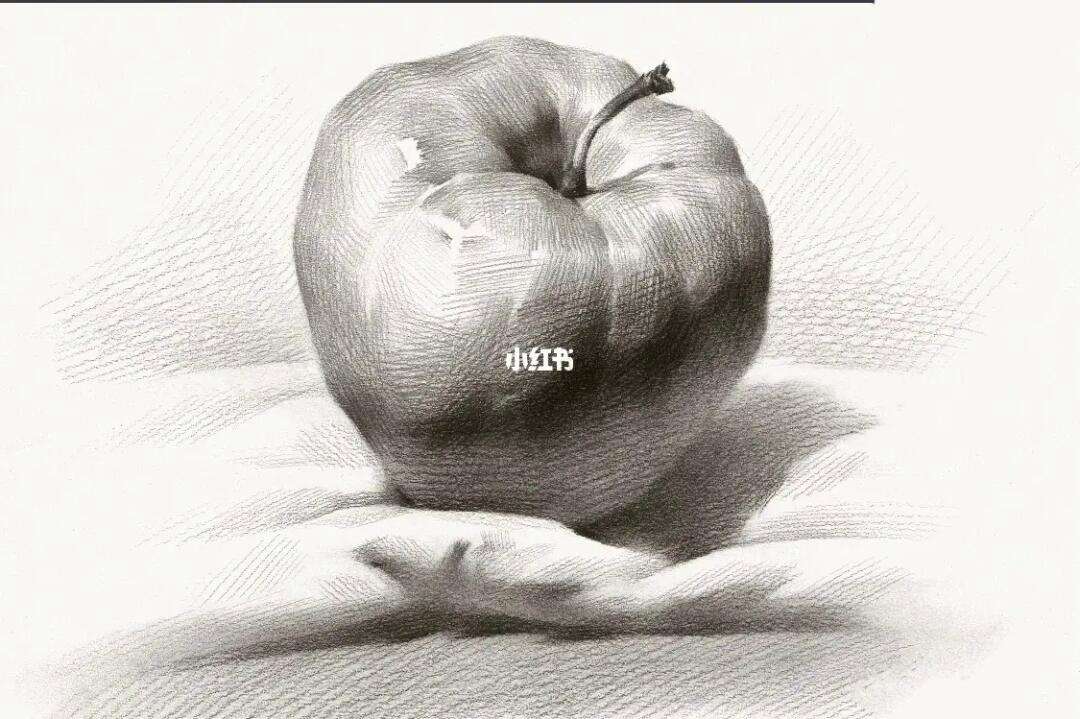 素描静物小羊苹果版素描静物临摹高清大图
