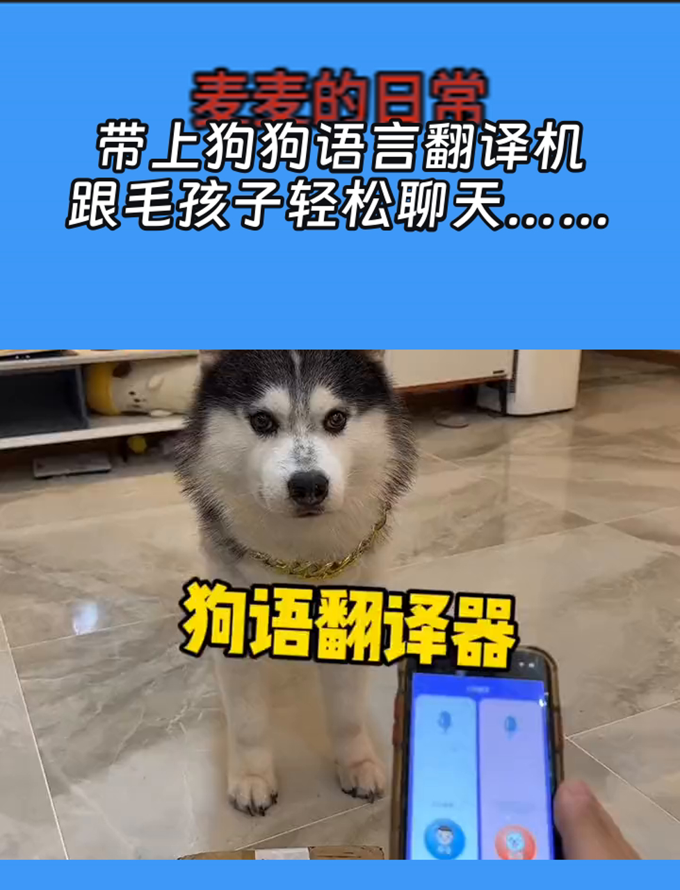 狗狗翻译器手机版狗语翻译器在线翻译-第1张图片-亚星国际官网